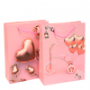 Bolsa de Regalo Mediana Corazones Rosa x12