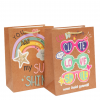 Bolsa de Regalo Mediana Fun x12