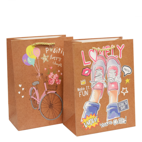 Bolsa de Regalo Mediana Fun x12