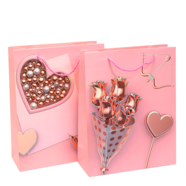 Bolsa de Regalo Mediana Corazones Rosa x12