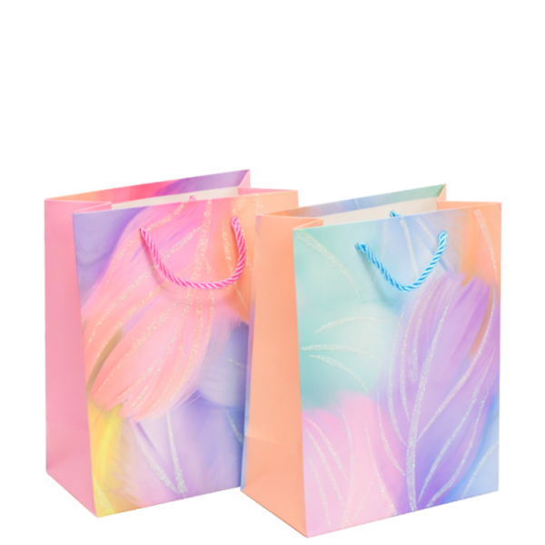 Bolsa de Regalo Chica Plumas x12
