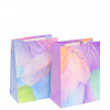Bolsa de Regalo Chica Plumas x12