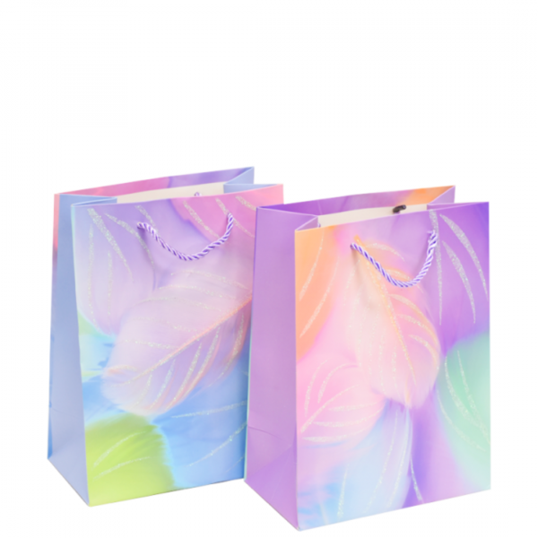 Bolsa de Regalo Chica Plumas x12