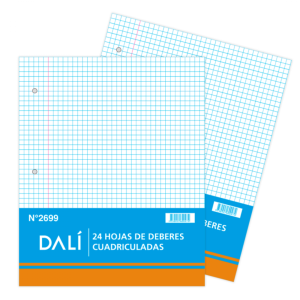 Hojas de Deberes Cuadriculadas 24 hojas x5 DALI