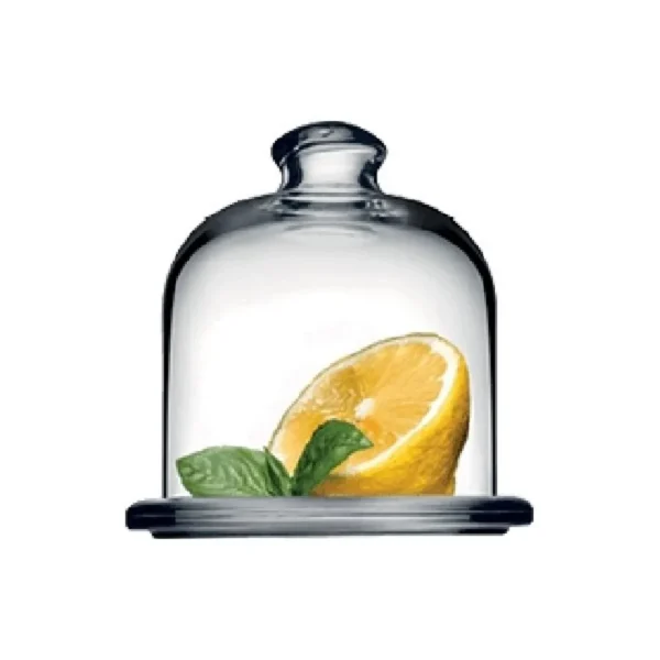 Porta limon 250cc basic pasabahce