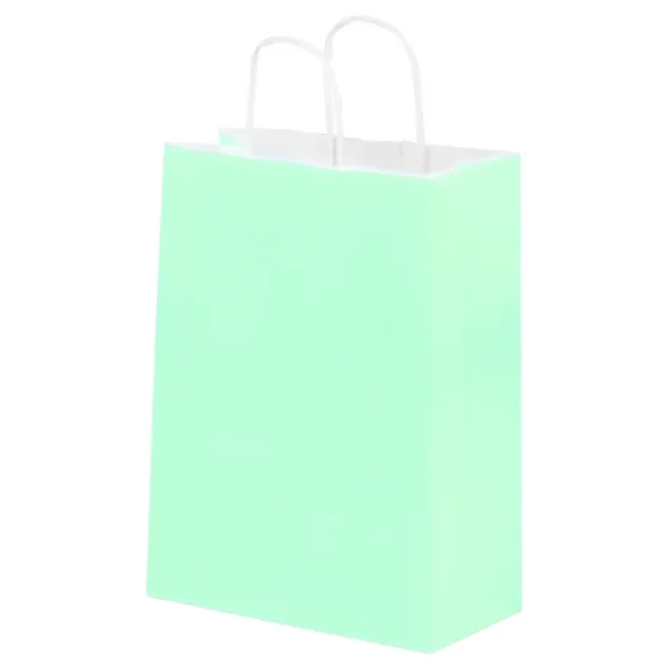 Bolsa de Papel Grande Verde Pastel con Asa x12