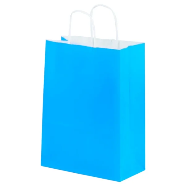 Bolsa de Papel Grande Turquesa con Asa x12