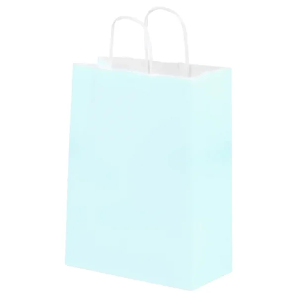 Bolsa de Papel Grande Celeste Pastel con Asa x12